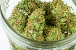 Local marijuana CBD dispensary Sofia pipes bongs