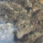 Where To (Legally) Buy Marijuana & CBD In Bakersfield