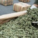 Local marijuana CBD dispensary Madrid pipes bongs