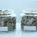 Where To (Legally) Buy Marijuana & CBD In Manchester